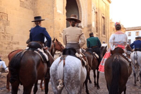 Cordoba Private Daytrip From Sevilla by Train - The Sum Up