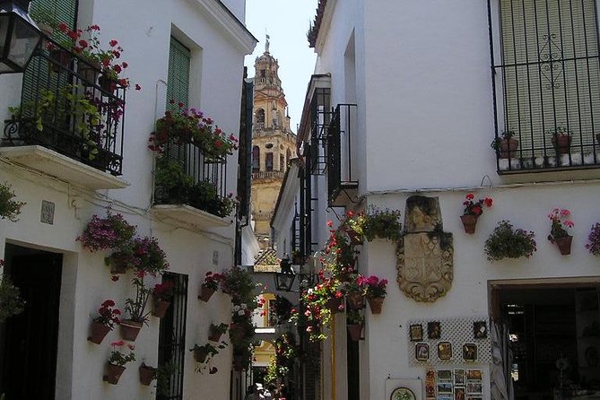 Córdoba Private Guided Day Tour From Madrid in Fast Train - Copyright and Terms