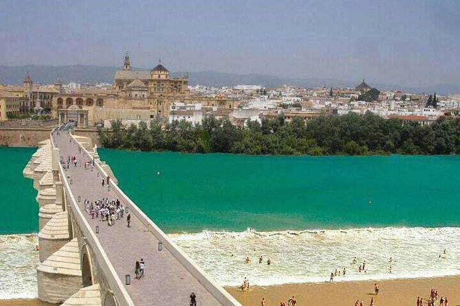 Cordoba Private Tour From Seville Including the Great Mosque for up to 8 Persons - Private Tour Options