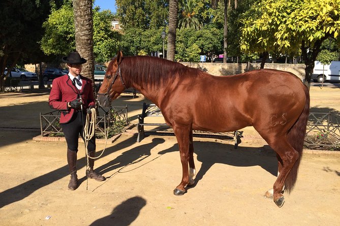 Cordoba Private Tour With Mosque Entrance From Seville - The Sum Up