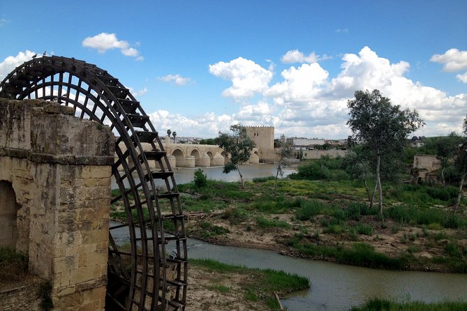 Cordoba Small-Group Day Tour From Seville - The Sum Up