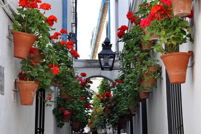 Cordoba Synagogue & Jewish Quarter Guided Tour - Cancellation and Refund