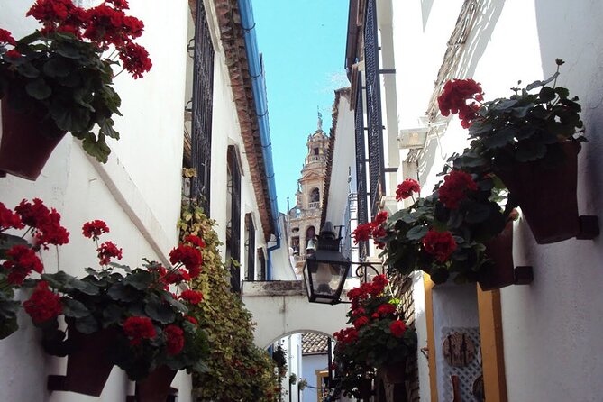 Cordoba Synagogue & Jewish Quarter Guided Tour - Additional Information