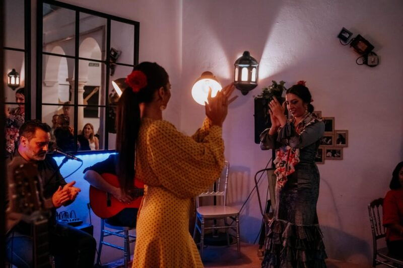 Córdoba: Tablao Flamenco at Doble De Cepa With Optional Meal - Venue and Accessibility