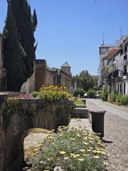 Córdoba: Tour of the Mosque-Cathedral, the Roman Bridge, and the Jewish Quarter. - Final Thoughts: Who Will Love This Tour?