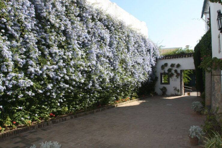 Córdoba: Viana Palace Gardens and Patios Entry Ticket - Experience Highlights