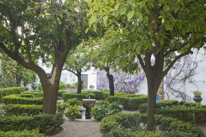 Córdoba: Viana Palace Gardens and Patios Entry Ticket - Full Description