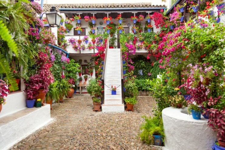 Cordobas Authentic Patios: 2-Hour Tour With Tickets - Experience and Highlights