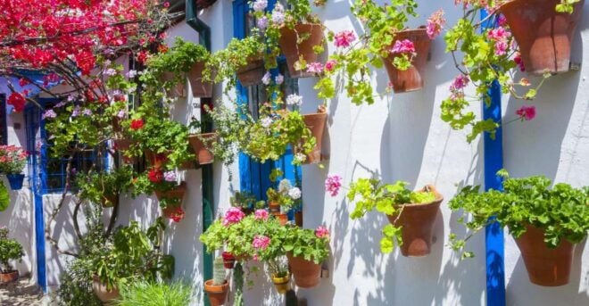 Cordobas Authentic Patios: 2-Hour Tour With Tickets - Booking and Payment Options