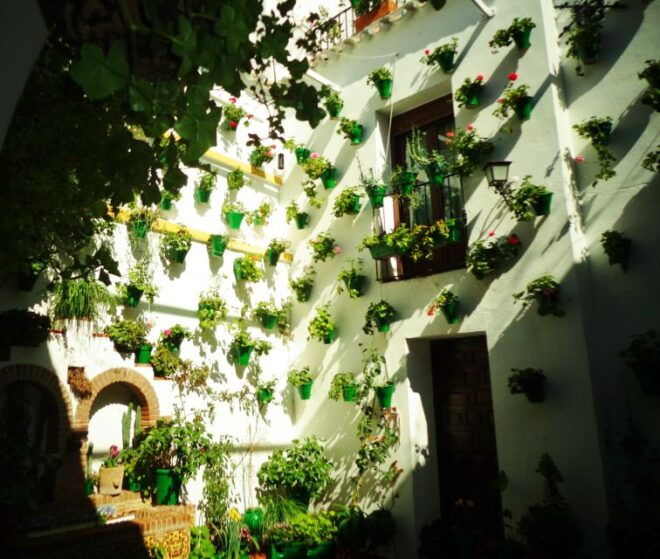 Cordobas Authentic Patios: 2-Hour Tour With Tickets - Live Tour Guide