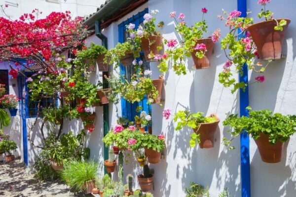 Cordobas Authentic Patios: 2-Hour Tour With Tickets - Common Questions