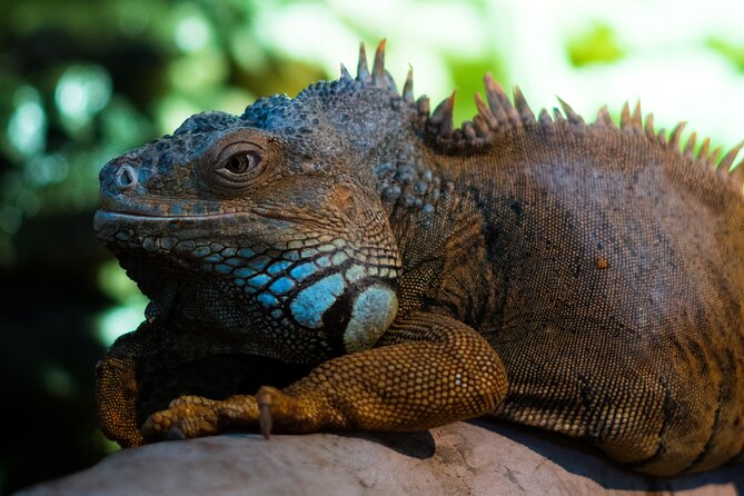 Corfu Aquarium Ticket With Tour Included - What To Expect at the Aquarium
