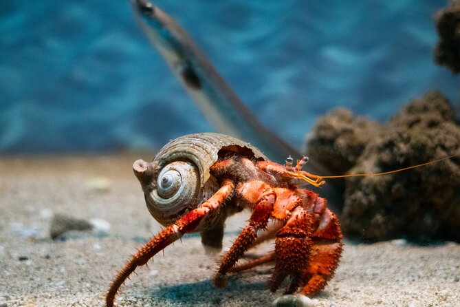Corfu Aquarium Ticket With Tour Included - Additional Information for Visitors