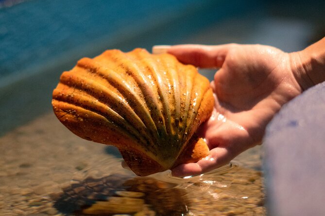 Corfu Aquarium Ticket With Tour Included - Tour Experience Highlights