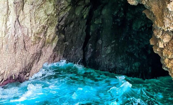 Corfu: Bus Trip & Swim to Paleokastritsa & Olive Oil Museum - Frequently Asked Questions