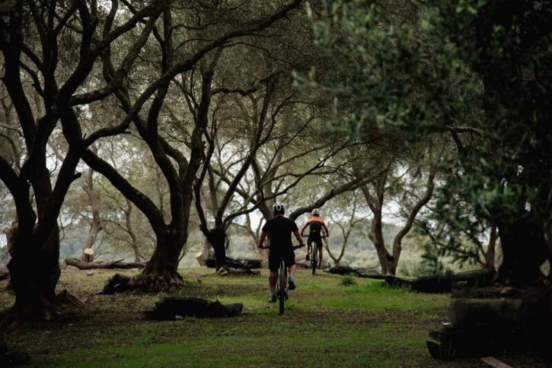 Corfu: E-Bike Tour with Olive Oil Tasting - Good To Know