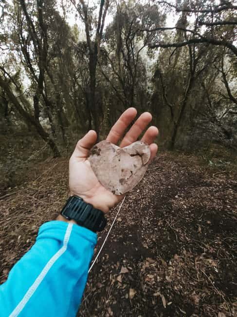 Corfu: Guided Hiking Tour of Arkoudilas Beach and Forests - Who Will Love This Tour?
