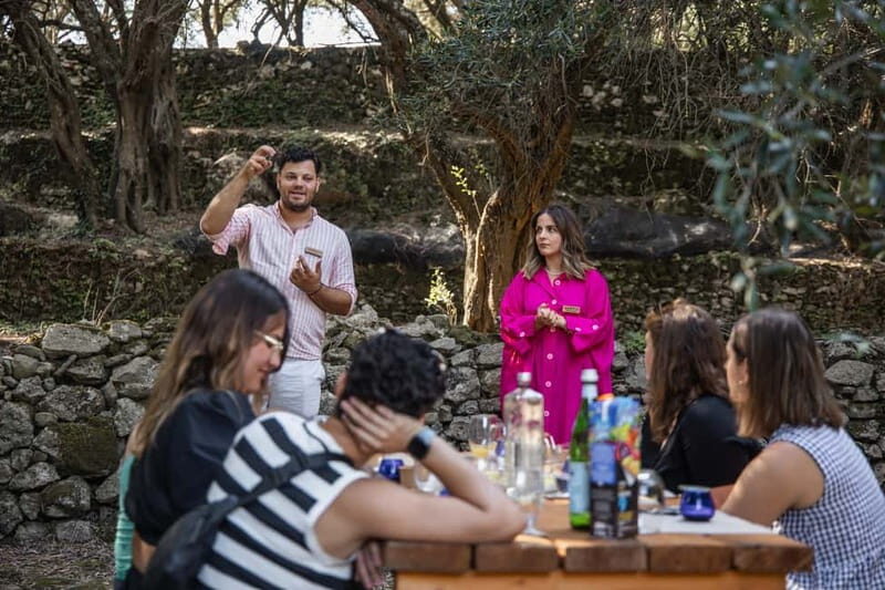 Corfu: Guided Olive Groves Tour with Olive Oil Tasting - Exploring Corfu’s Olive Groves: A Guided Tour That Offers More Than Just Oil