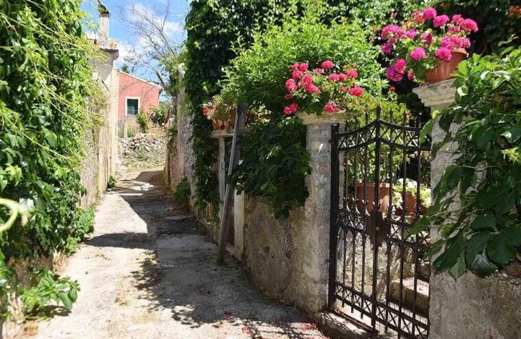 Corfu: Olive Oil & Wine Tastings & Traditional Villages Tour - FAQs about the Corfu Olive Oil & Wine Tour