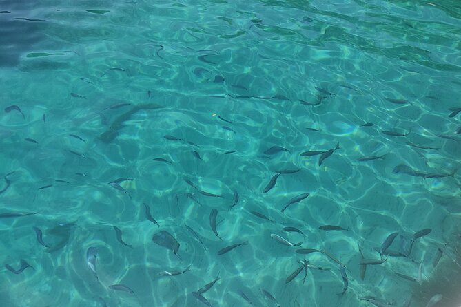 Corfu Private Boat Tour - Tour Details