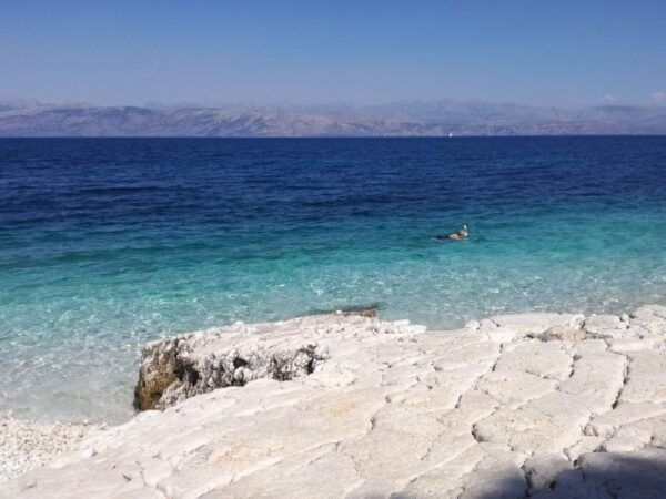 Corfu: Private Customised Tour Half/Full-Day - The Sum Up