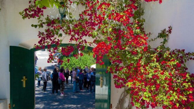 Corfu: Private Paleokastritsa and Corfu Town Half-Day Tour - Important Information