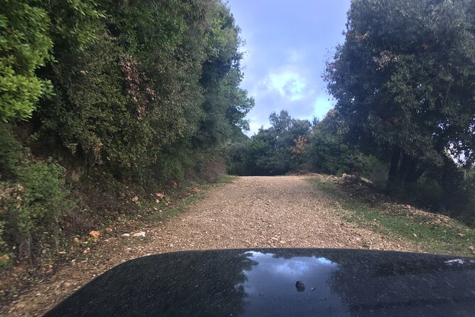 Corfu Small-Group Off-Road Tour - Common Questions