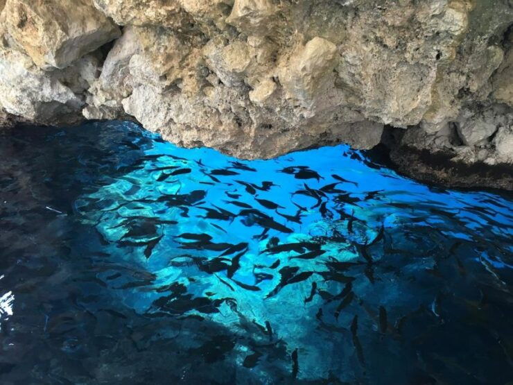 Corfu: The Beauty & The Beach Private Tour - Tour Experience