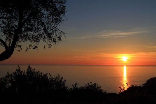 Corfu Town Walking Tour & Mouse Island Cruise With BBQ Meal - Frequently Asked Questions
