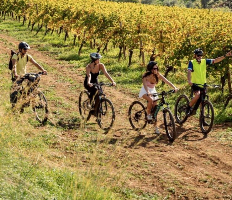 Cori: E-MTBike Experience Among the Vineyards - Pricing and Booking Information