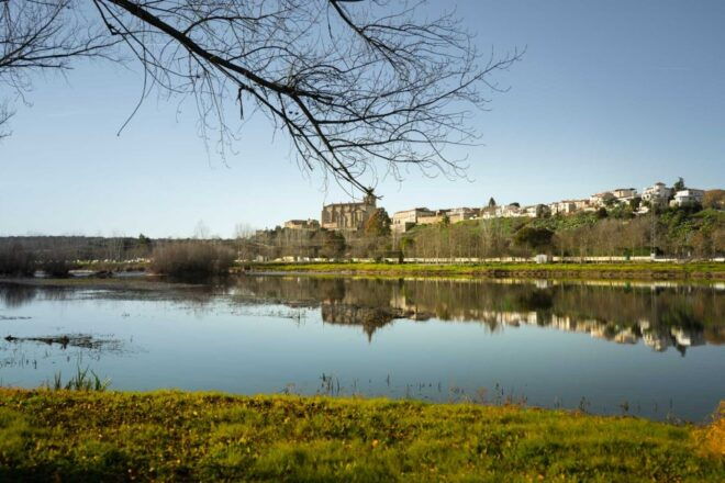 Coria: Cathedral of Coria Ticket Entrance - Cathedral Features