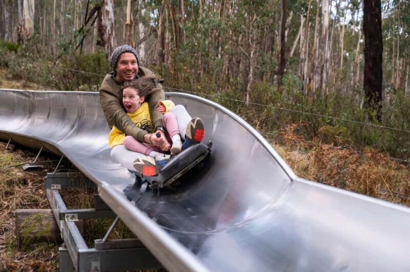 Corin Forest: Alpine Slide Ticket - Getting to Corin Forest