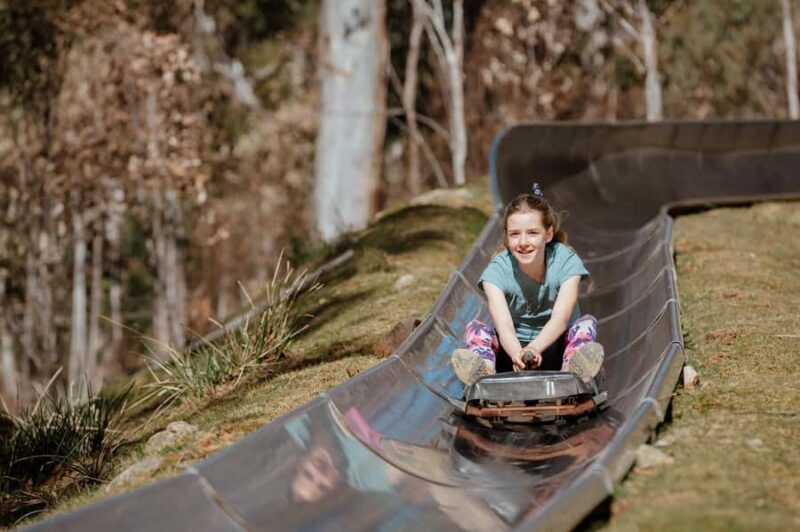 Corin Forest: Alpine Slide Ticket - The Sum Up