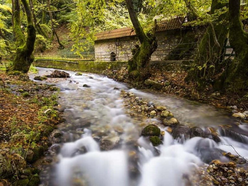 Corinth: Kalavryta and Cog Railway Day Tour - An In-Depth Look at the Tour Experience