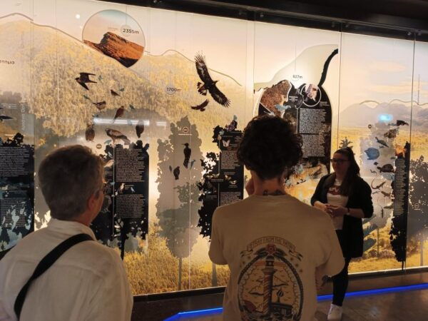 Corinth-Odontotos Railway-Lunch-Cave of Lakes: Private Tour - Common Questions