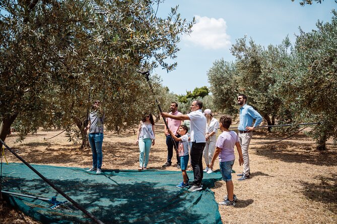 Corinth & Olive Oil Tasting Private Tour From Athens - Tour Overview
