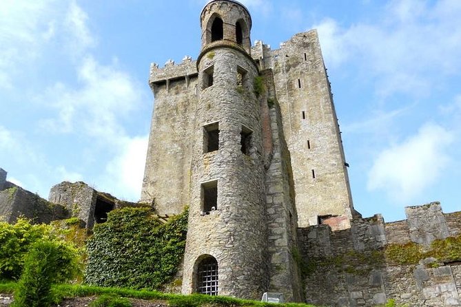 Cork and Blarney Castle Rail Tour From Dublin - Overview of the Cork and Blarney Castle Rail Tour