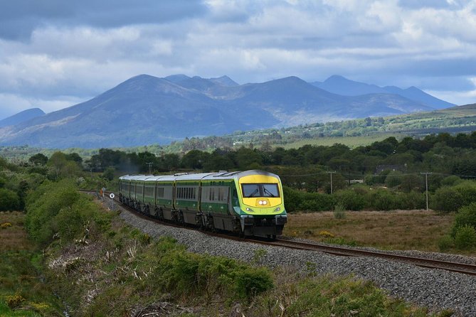Cork and Blarney Castle Rail Tour From Dublin - Mixed Reviews of the Cork and Blarney Castle Rail Tour