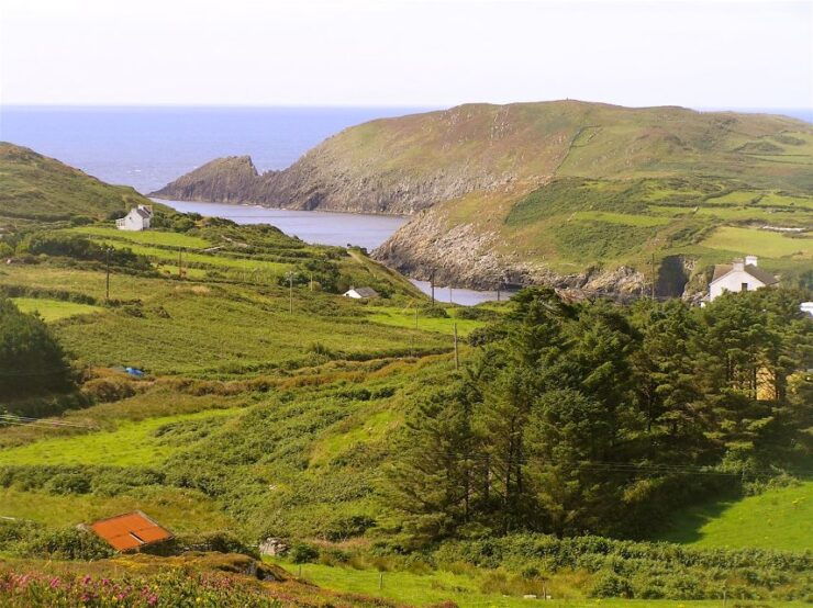 Cork: Cape Clear Island Tour - Experience Highlights on Cape Clear Island