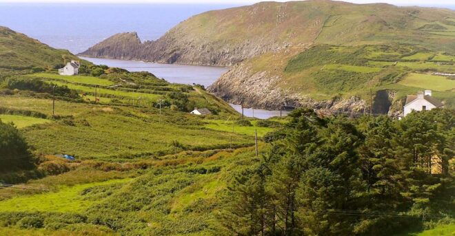 Cork: Cape Clear Island Tour - Full Description of the Activity