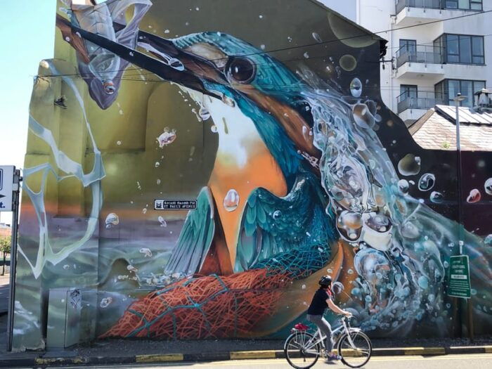 Cork City Cycle Tour on Electric Bike - Who Would Love This Experience?