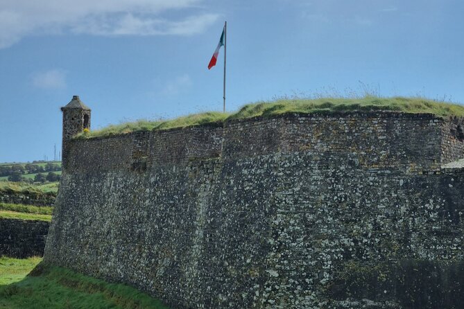 Cork City to Kinsale Private Taxi Tour in New Luxury A/C Minibus - Price