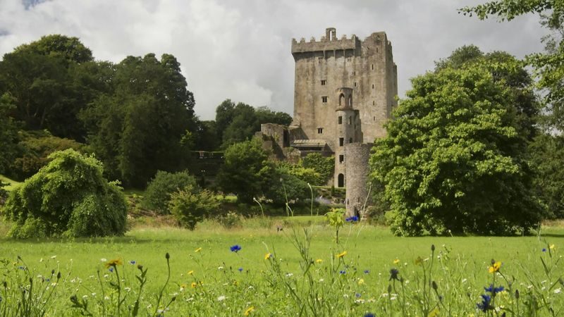 Cork, Cobh, and Blarney Castle trip from Dublin - Blarney Castle is more than a stone