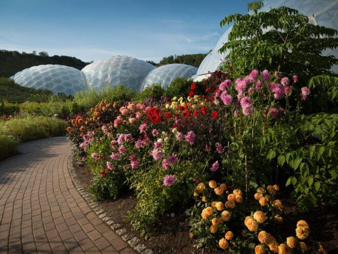 Cornwall: Eden Project Entry Ticket - Accessibility and Amenities