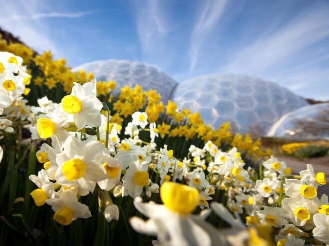 Cornwall: Eden Project Entry Ticket - Location and Directions