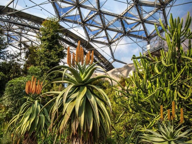 Cornwall: Eden Project Entry Ticket - Visiting Durations and Tips