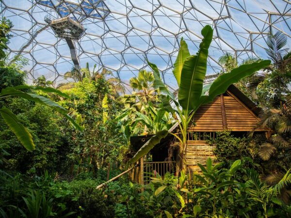 Cornwall: Eden Project Entry Ticket - Events and Exhibitions