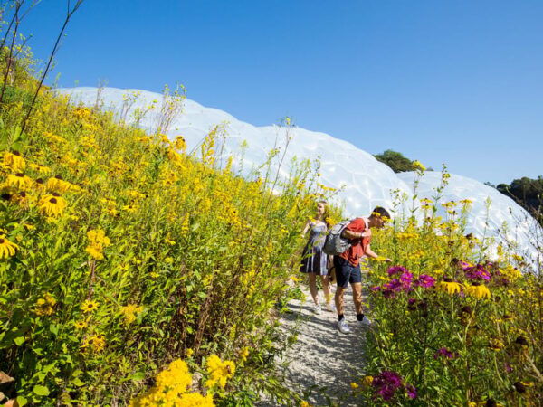 Cornwall: Eden Project Entry Ticket - Flora and Fauna Exhibits