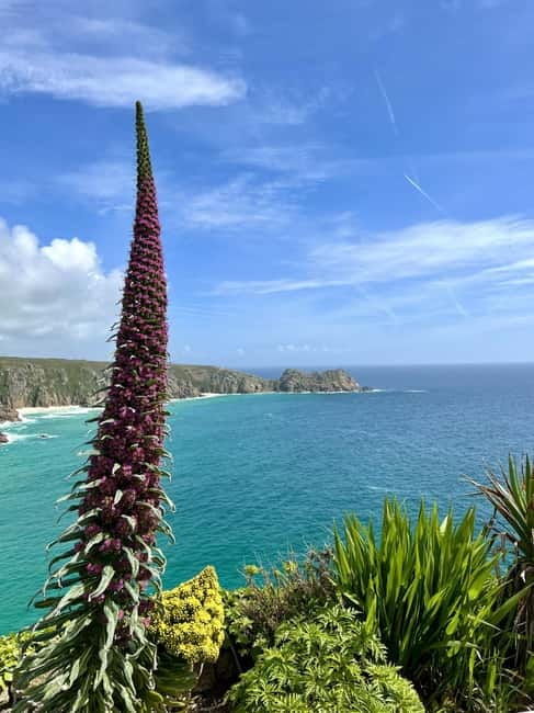 Cornwall: Private Guided Tour - FAQ