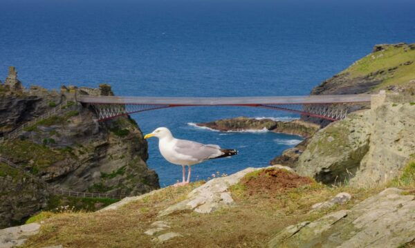 Cornwall: Tintagel Castle Entry Ticket - What to Bring and Wear